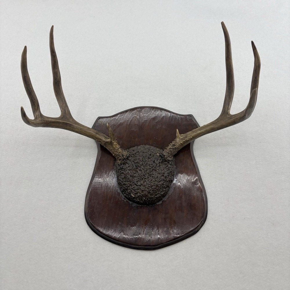 Brown Deer Antler Wall Mount Plaque - Rustic Home Wall Decor